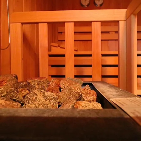 Anita - Nr 56 Mit Sauna In Lenzkirch-kappel *